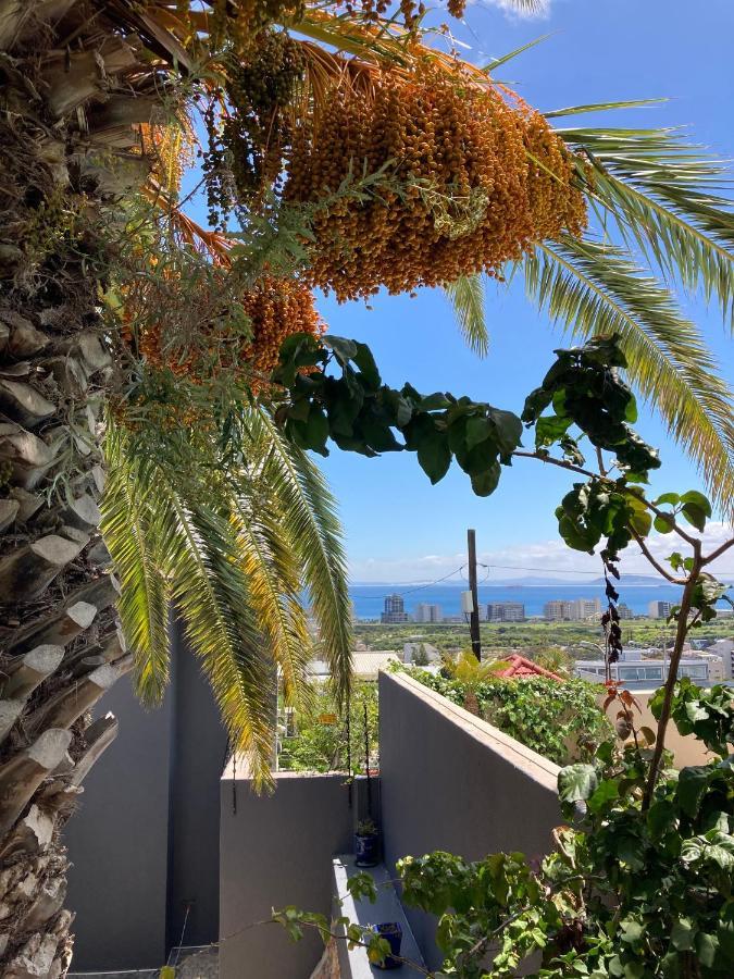 The Green Villa Cidade Do Cabo Exterior foto